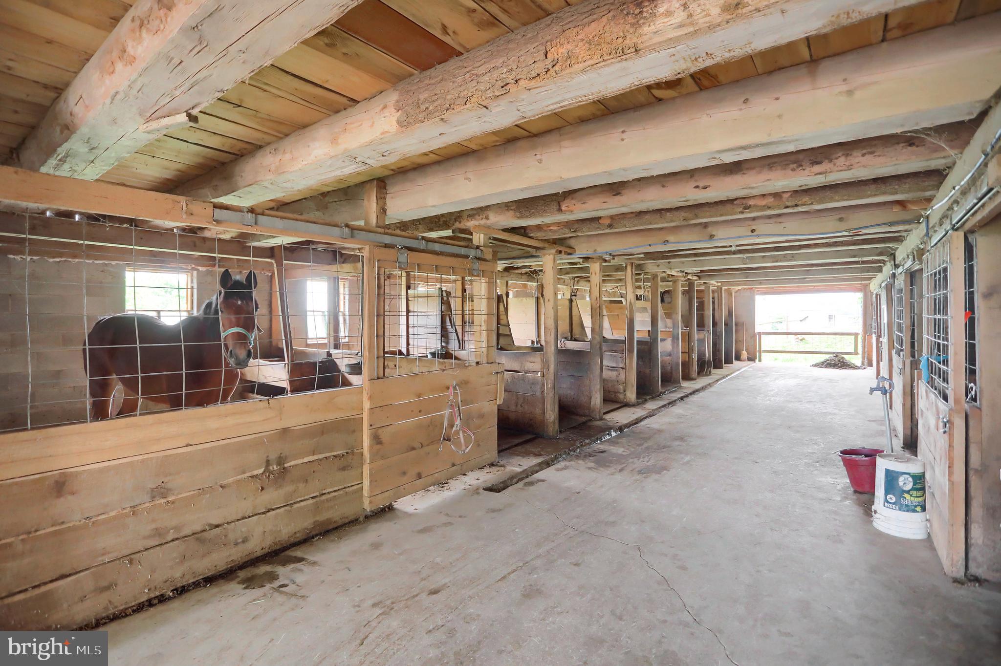 2431 Sylvis Road Cherry Tree, PA 15724 - Photo 43 of 79