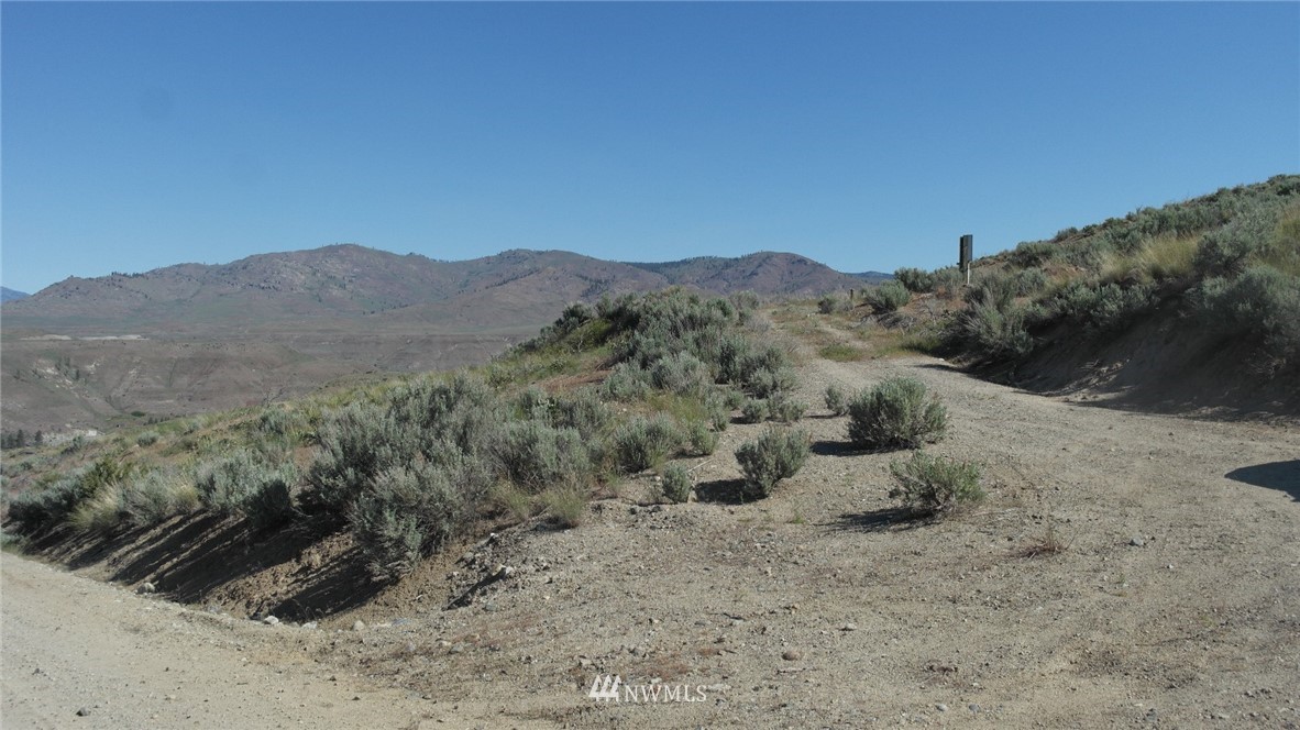 7 Cowboy Road Pateros, WA 98846 - Photo 11 of 31 a view of a dry yard with mountains in the background