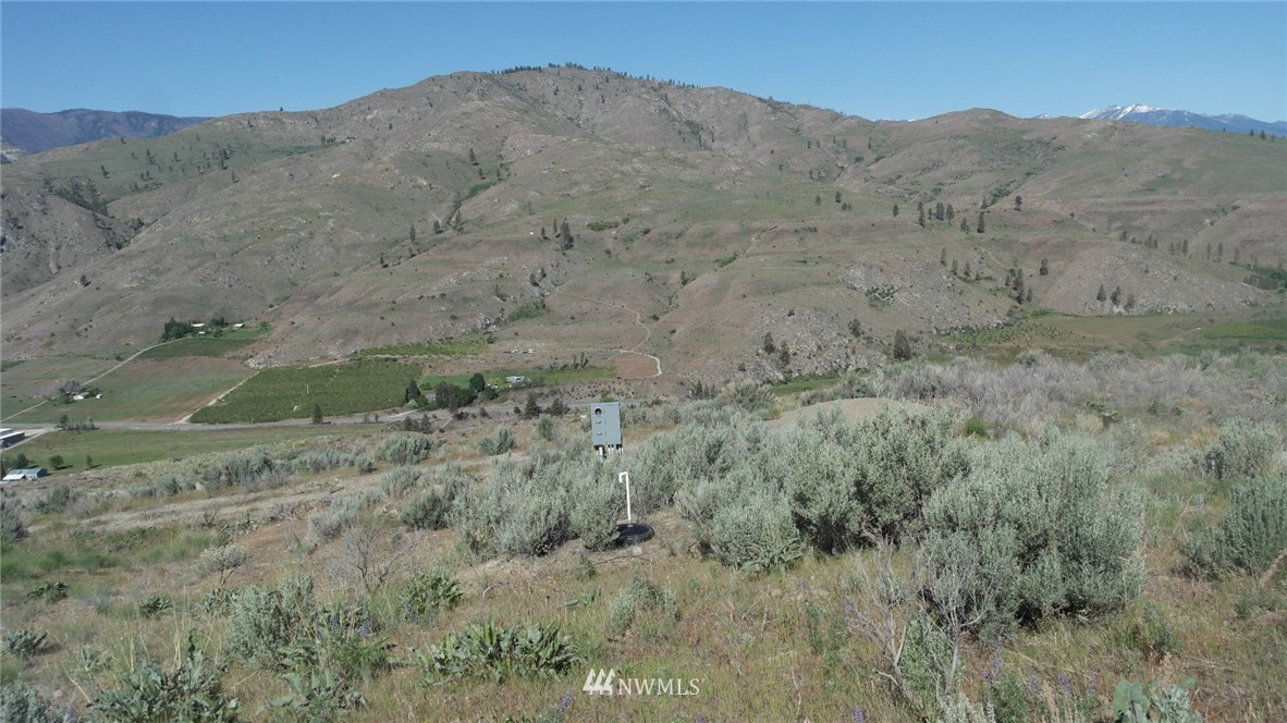 7 Cowboy Road Pateros, WA 98846 - Photo 13 of 31 a view of a dry field