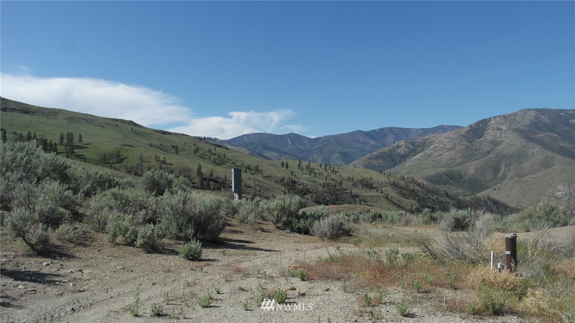7 Cowboy Road Pateros, WA 98846 - Photo 15 of 31 a view of a dry field