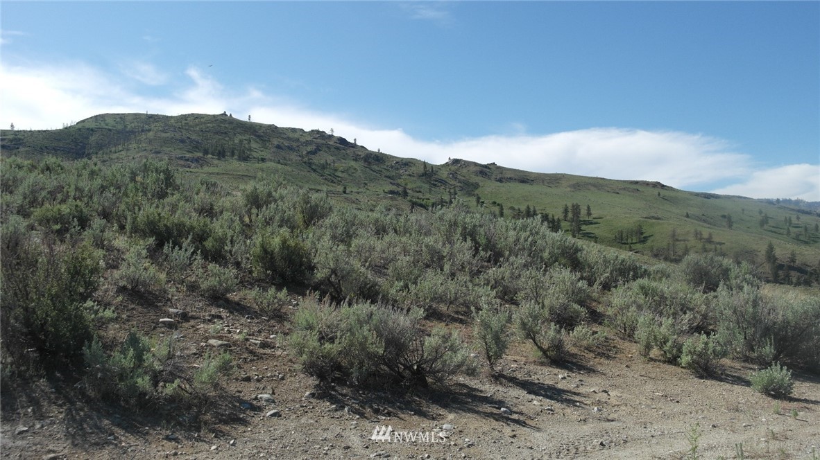 7 Cowboy Road Pateros, WA 98846 - Photo 16 of 31 a view of a mountain range with trees in the background