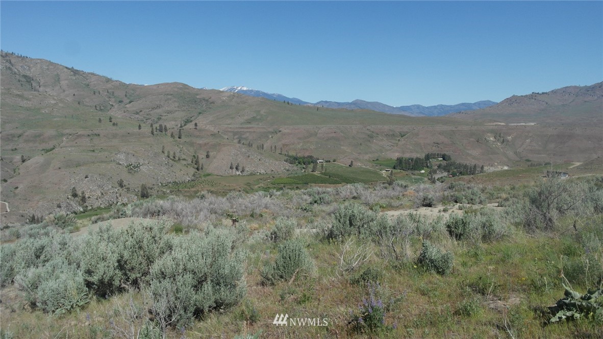 7 Cowboy Road Pateros, WA 98846 - Photo 17 of 31 a view of a mountain range with trees in the background