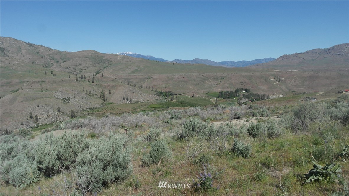 7 Cowboy Road Pateros, WA 98846 - Photo 18 of 31 a view of a mountain range with trees in the background