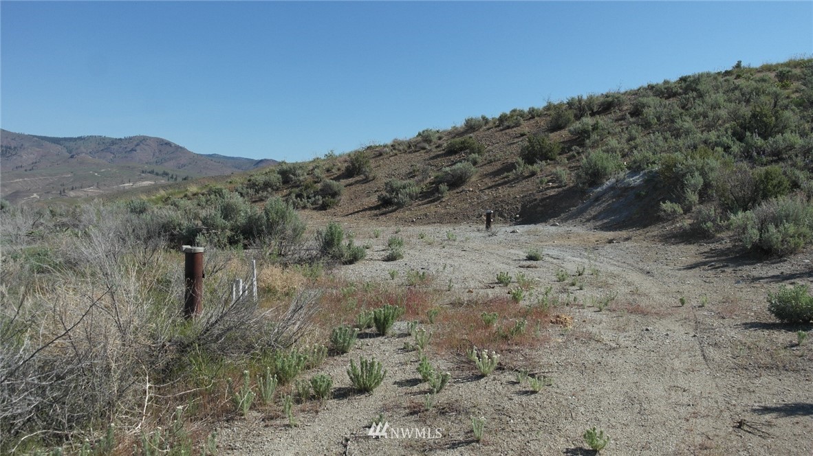 7 Cowboy Road Pateros, WA 98846 - Photo 21 of 31 a view of a dry field with lots of bushes
