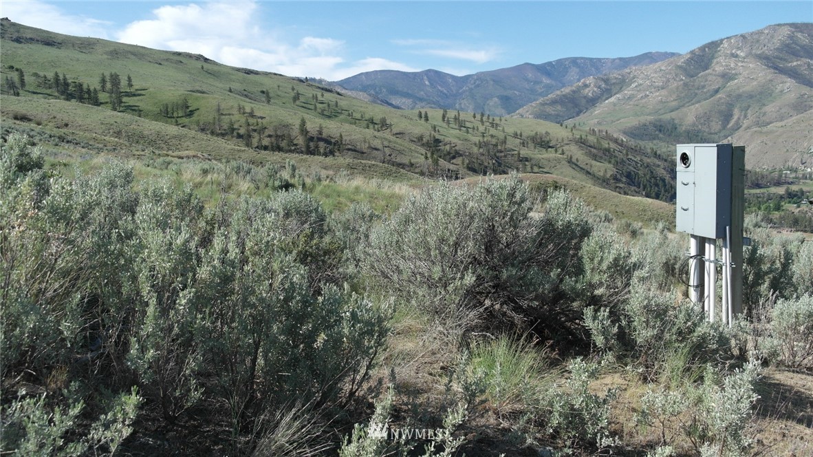 7 Cowboy Road Pateros, WA 98846 - Photo 22 of 31 a view of a lush green hillside and a building