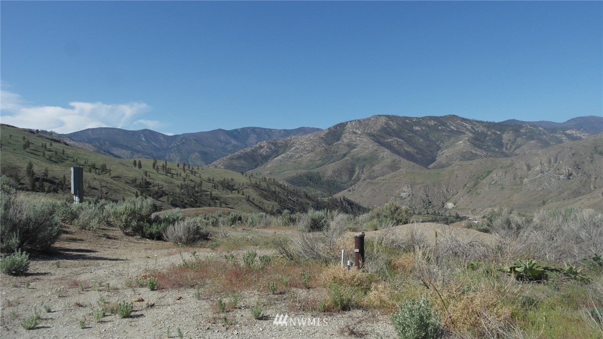 7 Cowboy Road Pateros, WA 98846 - Photo 23 of 31 a view of a mountain range with trees in the background