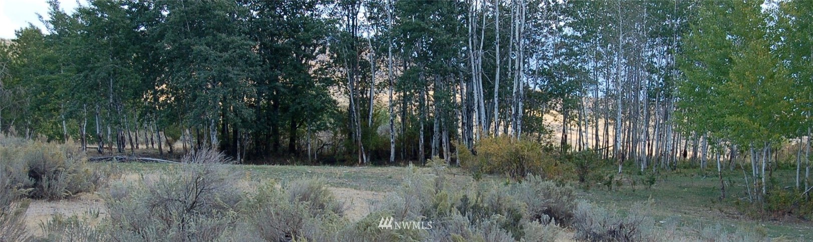 7 Cowboy Road Pateros, WA 98846 - Photo 30 of 31 a view of forest