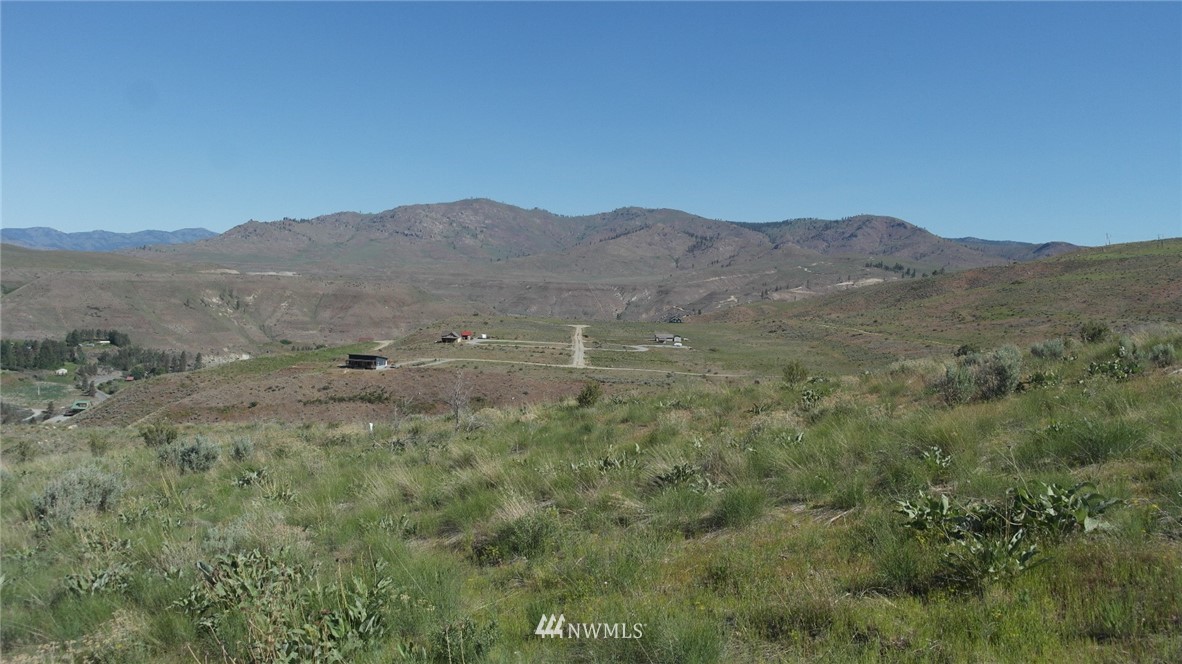 7 Cowboy Road Pateros, WA 98846 - Photo 5 of 31 a view of a lush green field with mountains in the background