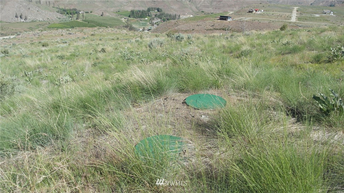 7 Cowboy Road Pateros, WA 98846 - Photo 6 of 31 a view of a dry yard and green space