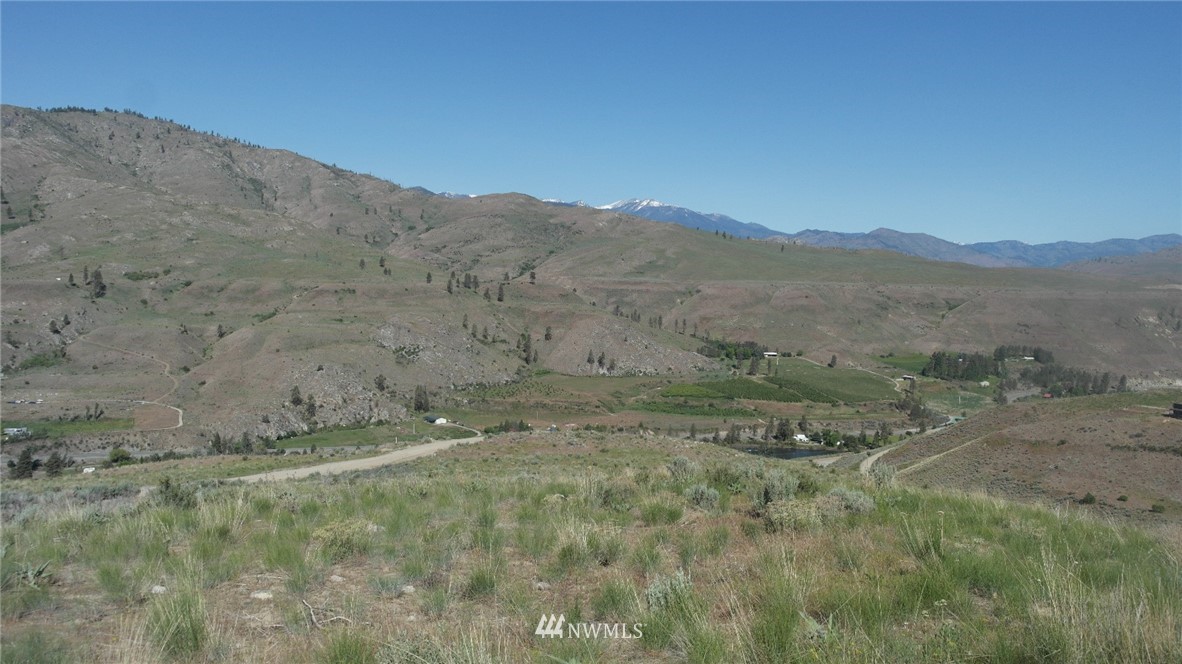 7 Cowboy Road Pateros, WA 98846 - Photo 8 of 31 a view of a dry field with trees in the background