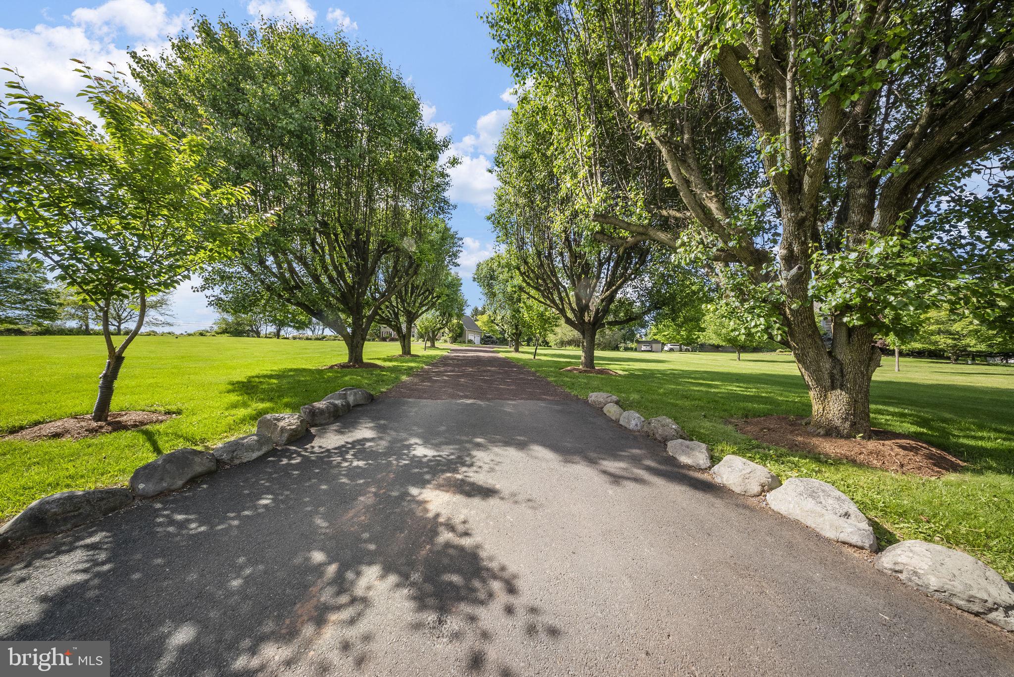 125 Mine Road Pennington, NJ 08534 - Photo 34 of 36 a view of a park with large trees
