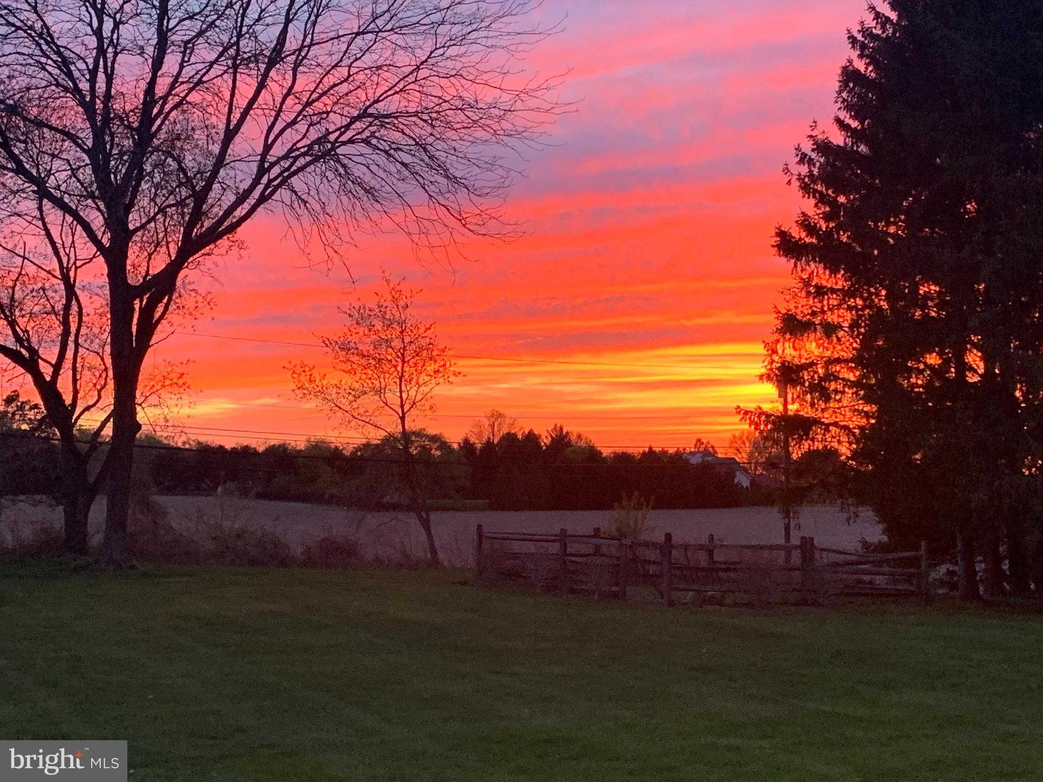 125 Mine Road Pennington, NJ 08534 - Photo 36 of 36 a view of a yard with a tree