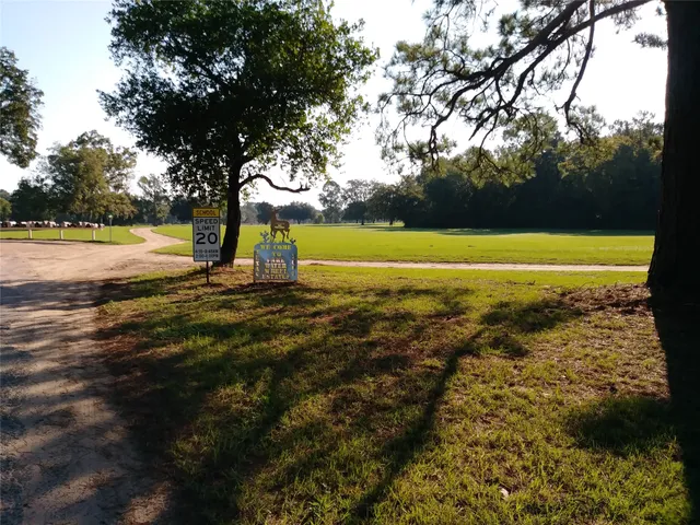 $8,799 | 0 Vickie, Shepherd, TX 77371