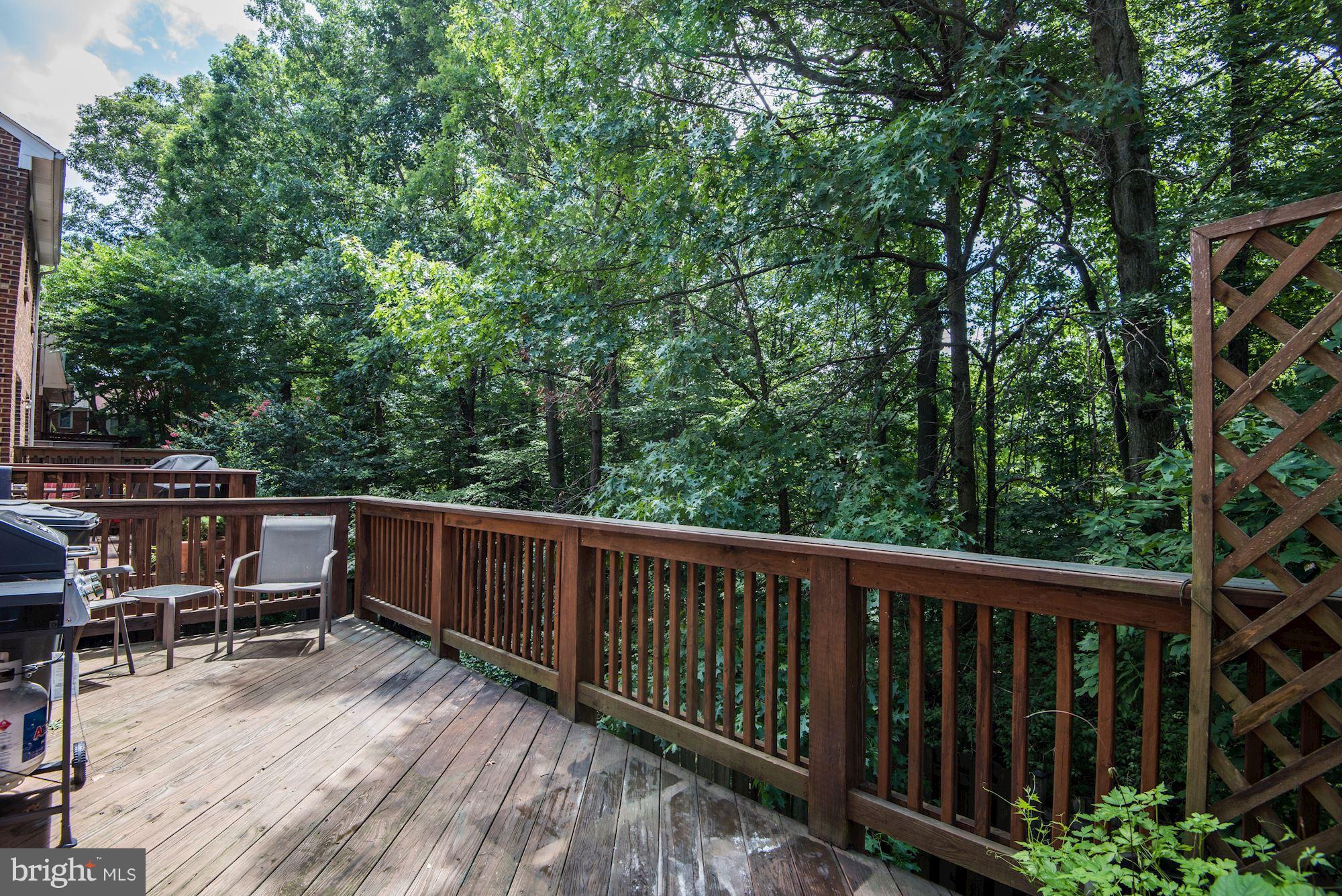 9023 Golden Leaf Court Springfield, VA 22153 - Photo 14 of 30 Main lvl Rear Deck