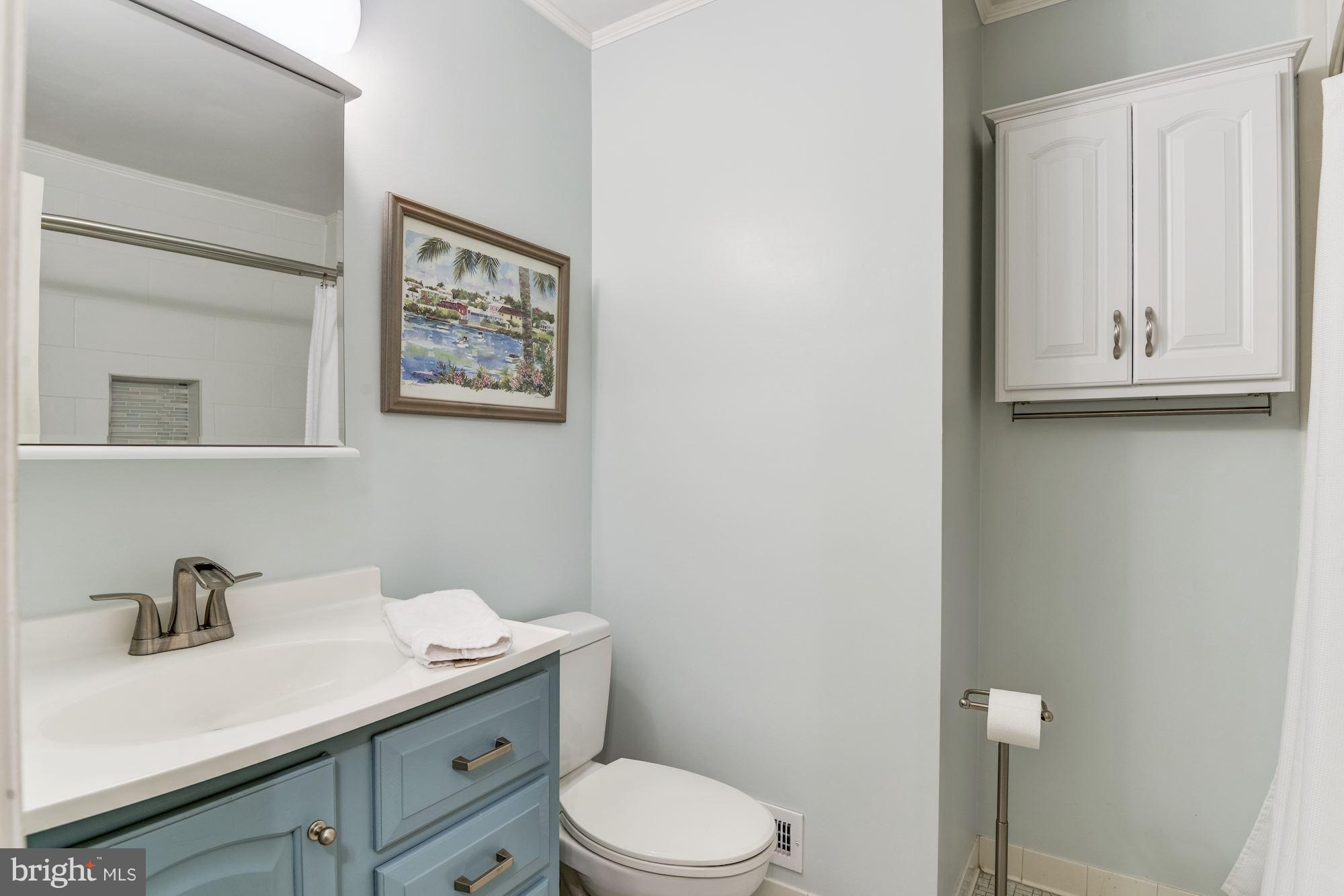 9023 Golden Leaf Court Springfield, VA 22153 - Photo 23 of 30 Hall Bath