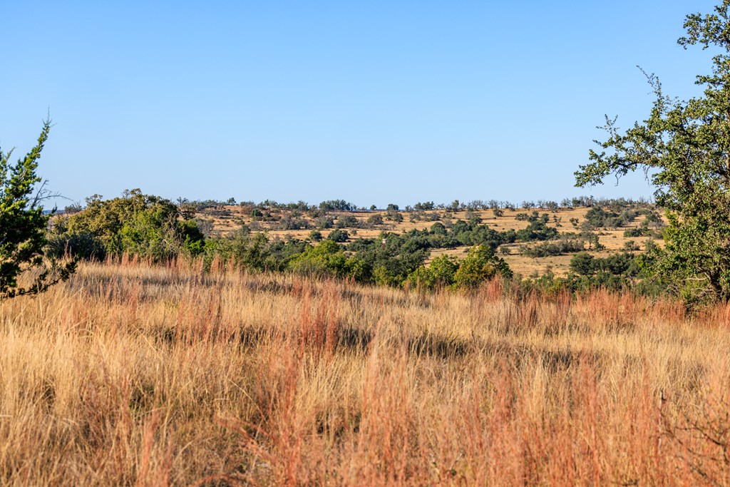 312 Cut-Off Road Fredericksburg, TX 78624 - Photo 48 of 61 Gallery Image 48
