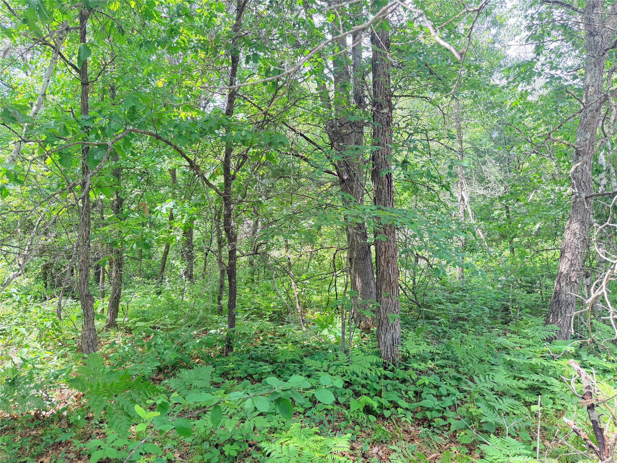 0 Peterson Road Ladysmith, WI 54848 - Photo 18 of 19