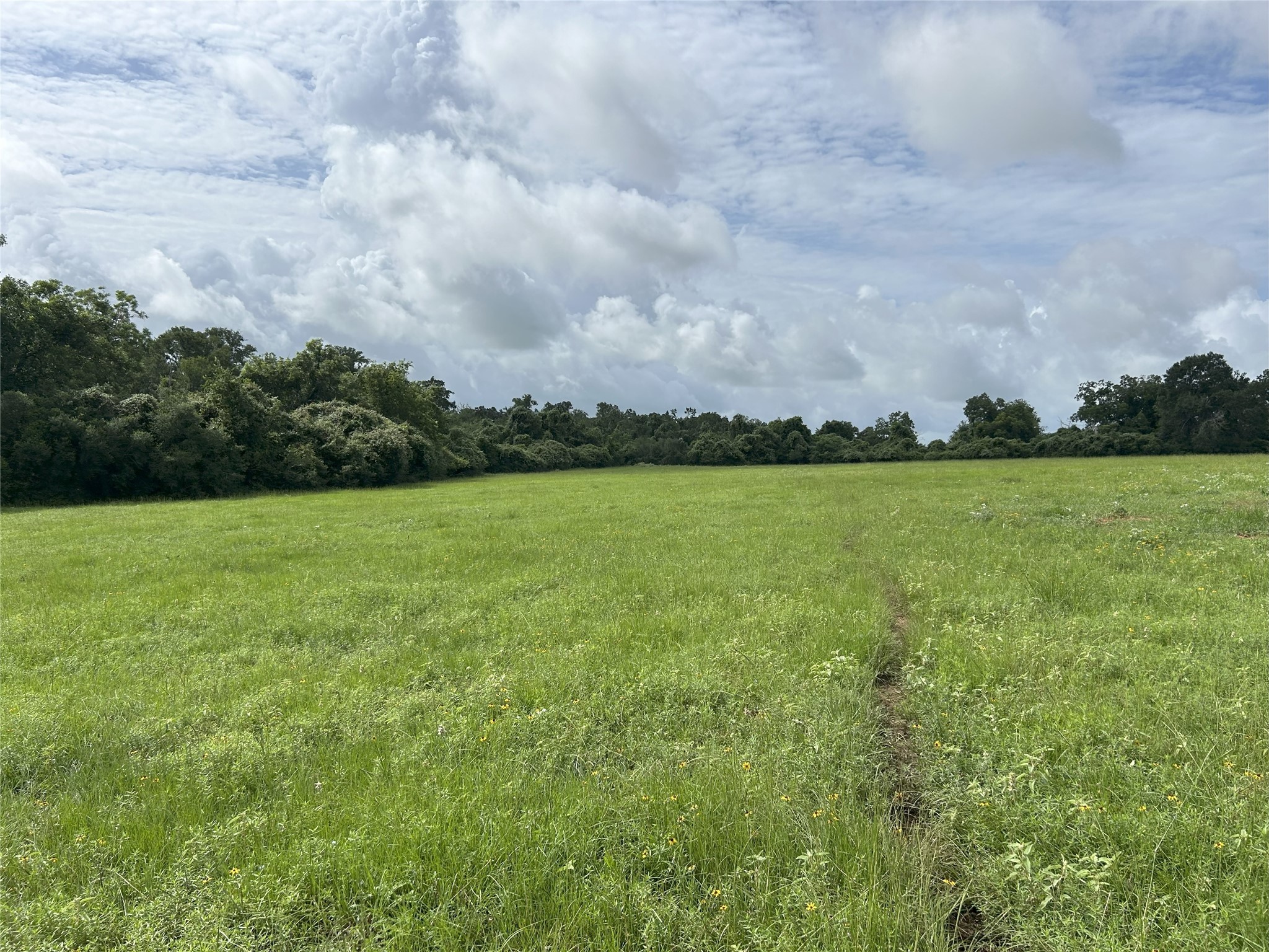 Tbd Holik Road Hempstead, TX 77445 - Photo 22 of 50