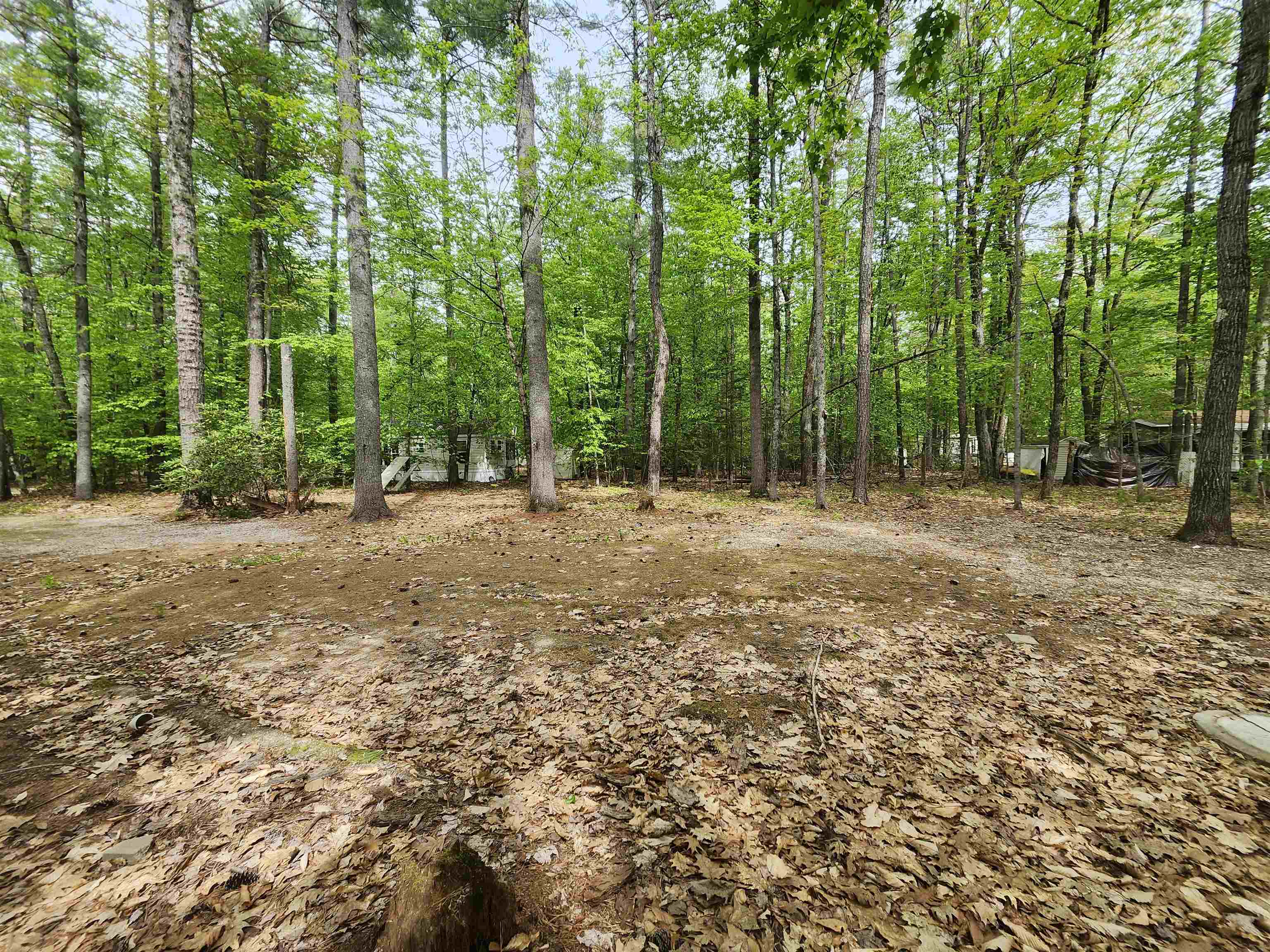 Lot 7 Pine Road East Wakefield, NH 03830 - Photo 5 of 11