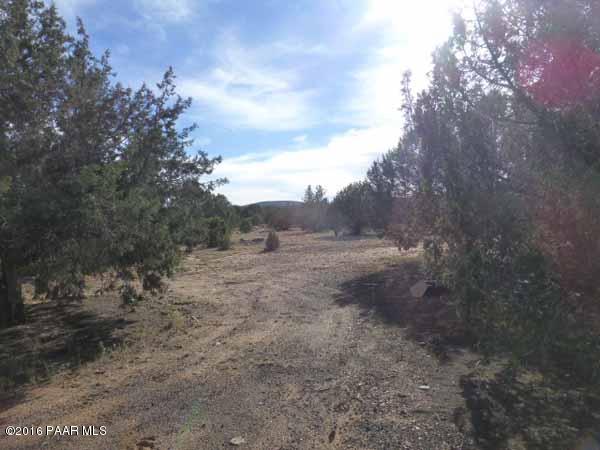 102 Rattlesnake Road Ash Fork, AZ 86320 - Photo 13 of 21 P1030569