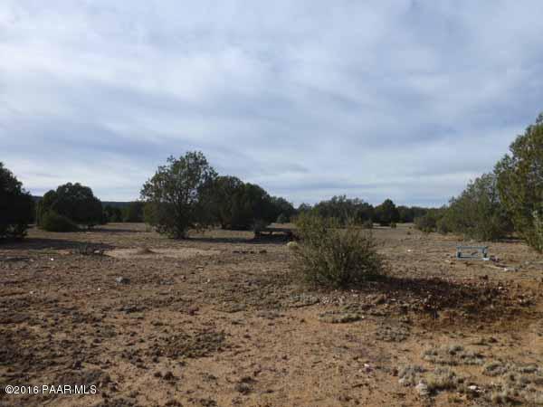 102 Rattlesnake Road Ash Fork, AZ 86320 - Photo 14 of 21 P1030572