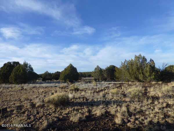 102 Rattlesnake Road Ash Fork, AZ 86320 - Photo 21 of 21 P1030588