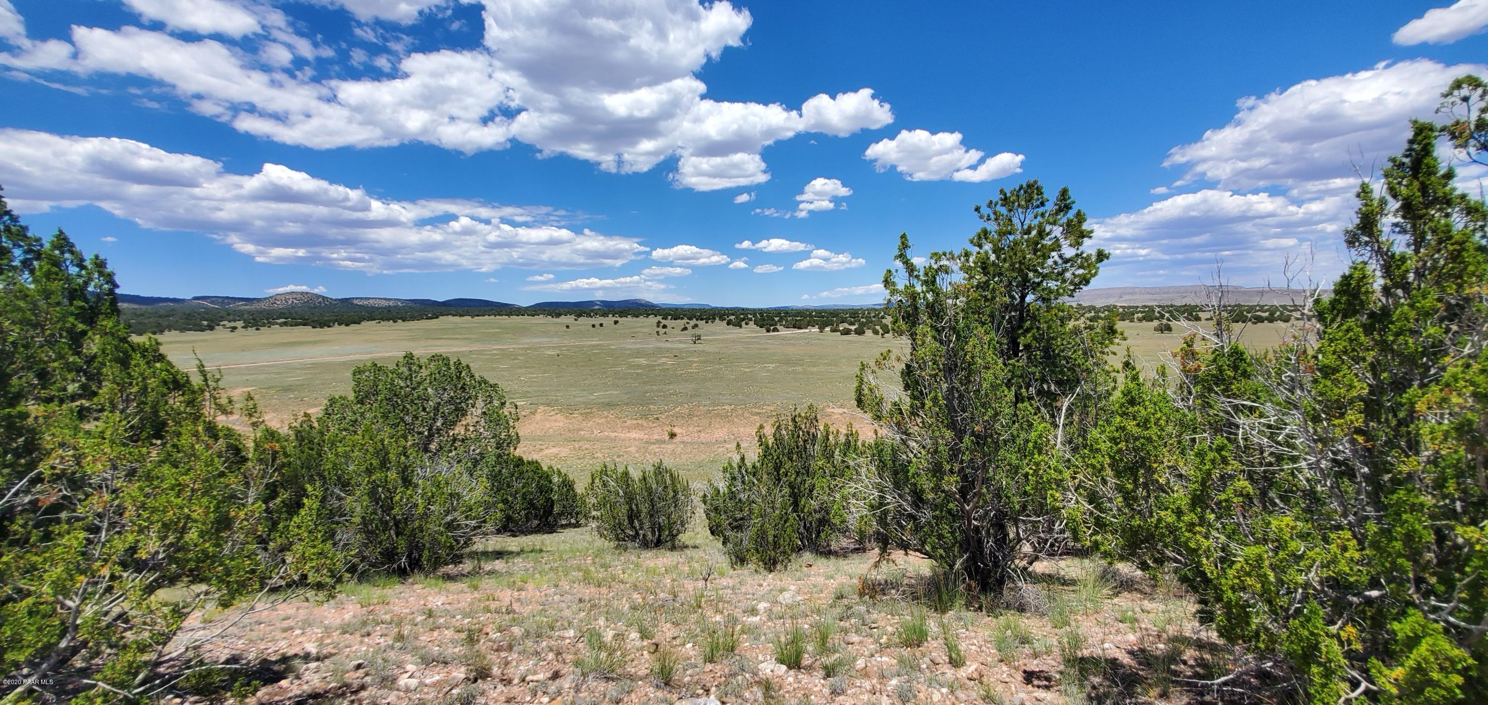 Lot 136 Williamson Valley Road Seligman, AZ 86337 - Photo 1 of 16 ON TOP OF THE HILL ON THE PROPERTY