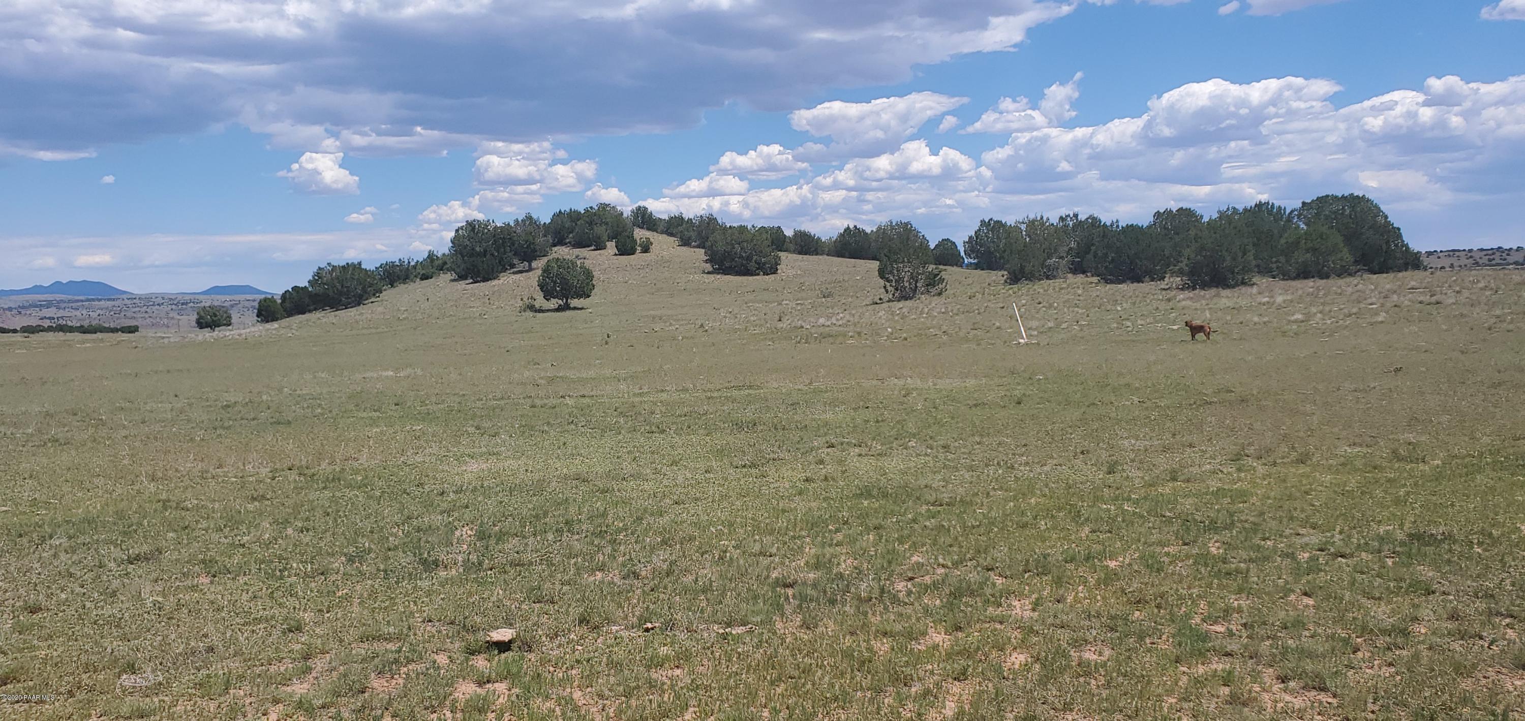 Lot 136 Williamson Valley Road Seligman, AZ 86337 - Photo 13 of 16 20200528_120439