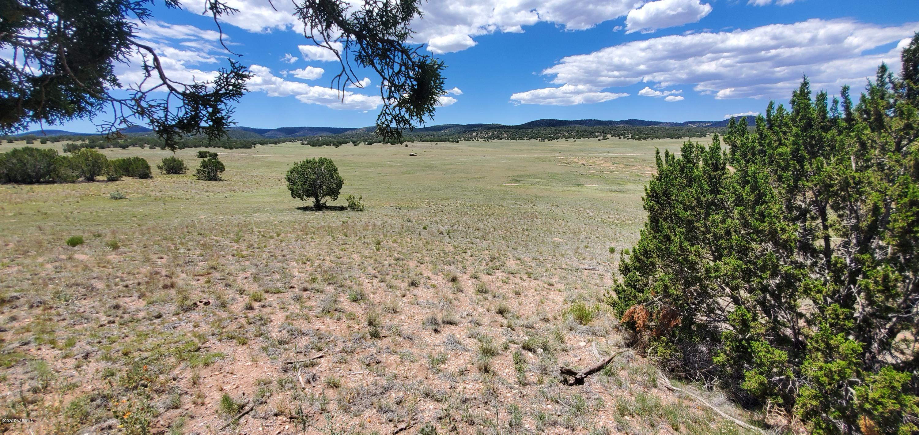Lot 136 Williamson Valley Road Seligman, AZ 86337 - Photo 3 of 16 20200528_121739