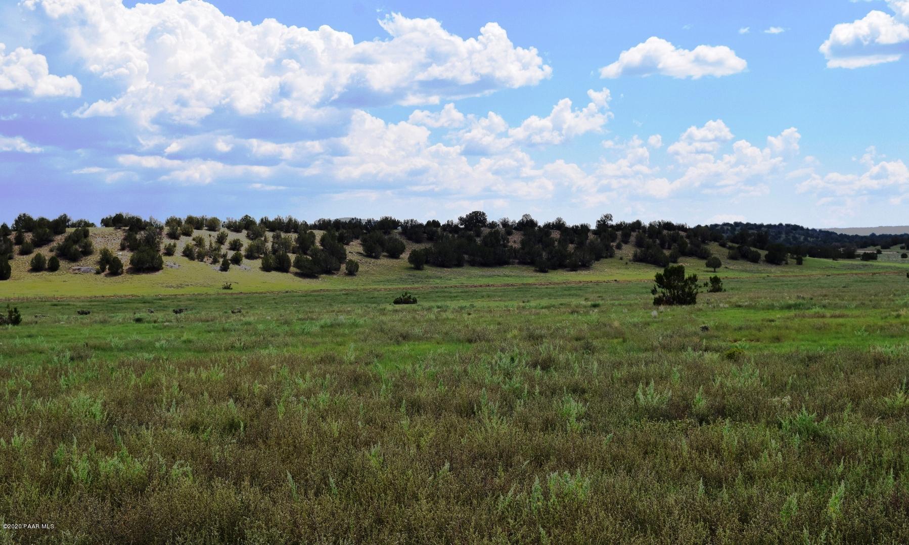 Lot 136 Williamson Valley Road Seligman, AZ 86337 - Photo 8 of 16 A_DSC0530