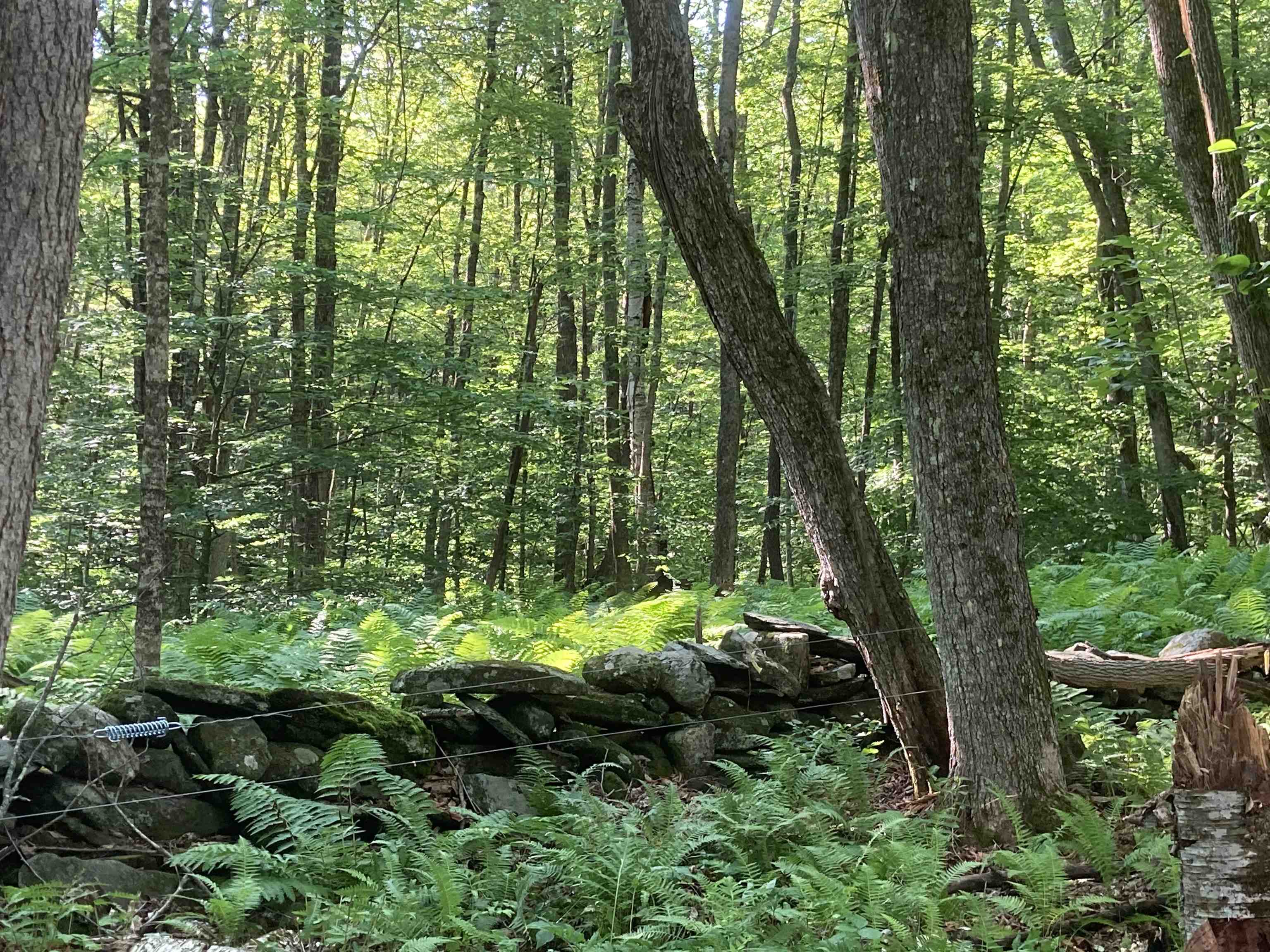 2711 Deer Park Road Halifax, VT 05301 - Photo 23 of 37