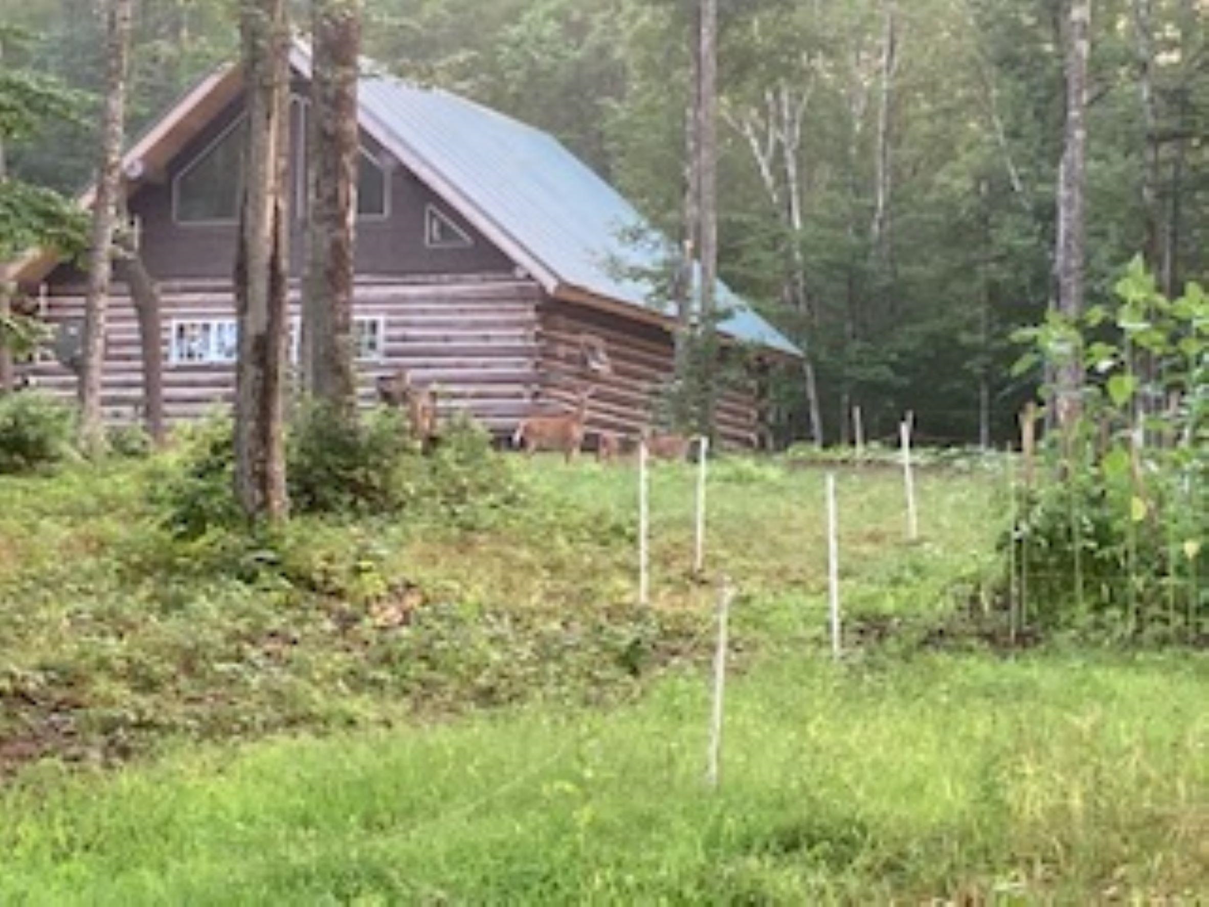 2711 Deer Park Road Halifax, VT 05301 - Photo 35 of 37