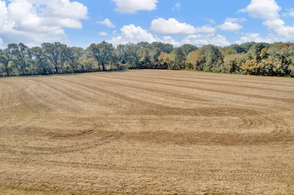 a view of an ocean and beach