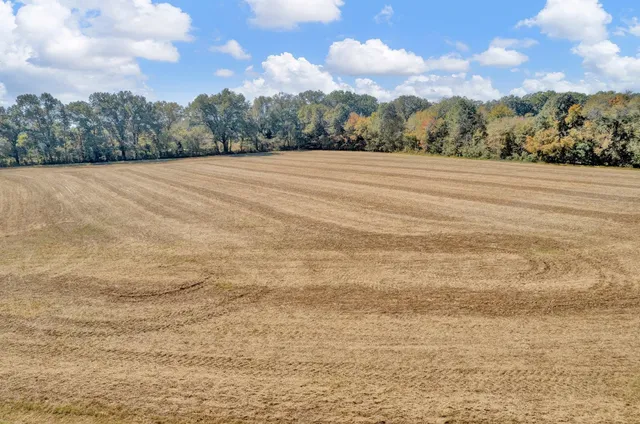 a view of basketball court
