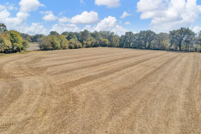 a view of an empty space with mountain view