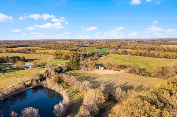 a view of dirt yard with a large tree
