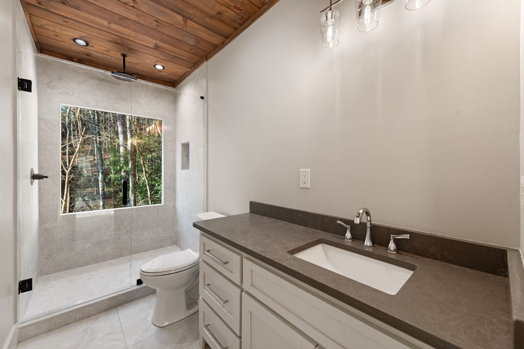 770 Fish Hook Point Blue Ridge, GA 30513 - Photo 66 of 96 2nd Lower Level Full Bathroom, Full Bathroom featuring Stained Ceilings + Frameless Shower Door + Private Wooded Views