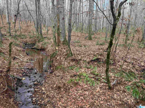 $131,500 | 831 County Road, Unit TRACT 3 30±, Wadley, AL 36276