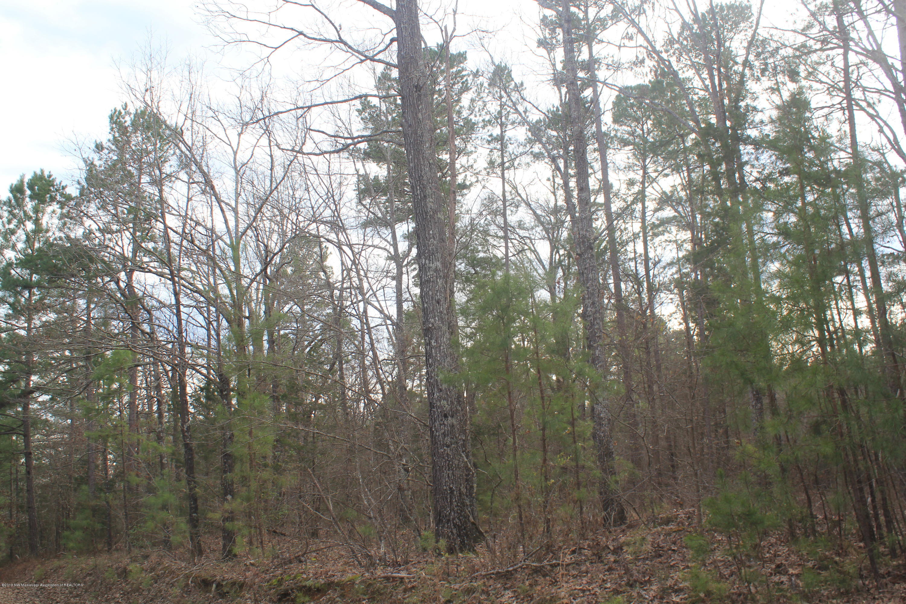 202 O M Cox Road Potts Camp, MS 38659 - Photo 4 of 11 064