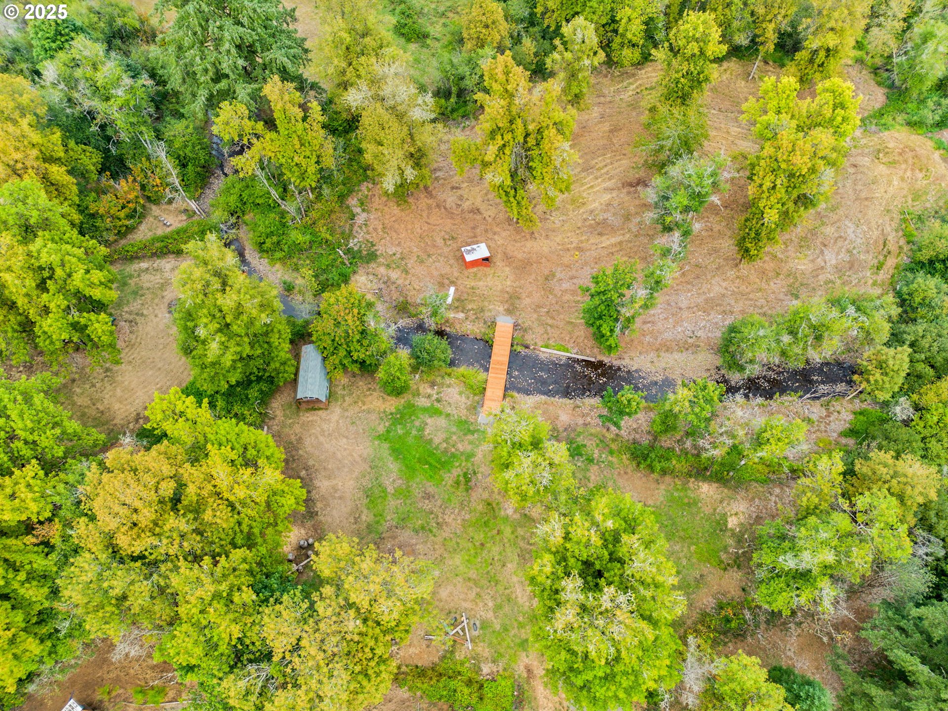 37495 Parsons Creek Road Springfield, OR 97478 - Photo 44 of 47 a view of a garden with a tree