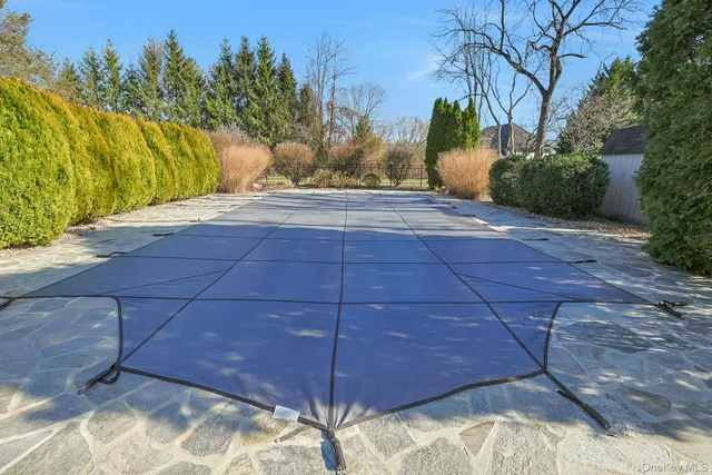 a view of grassy field with trees