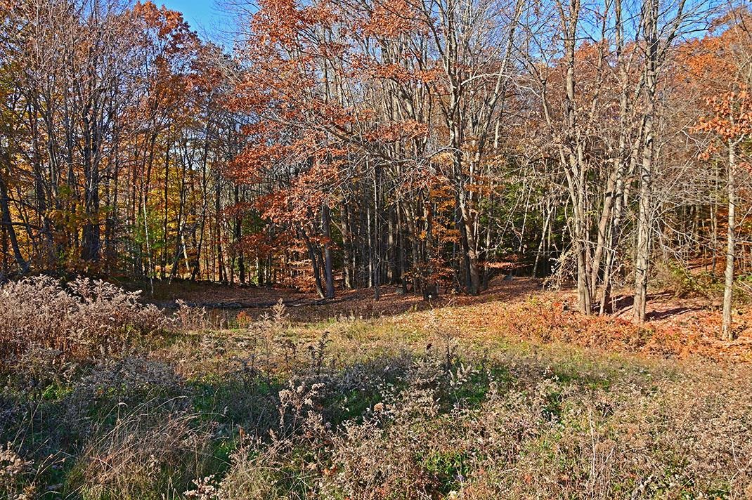 138 Saltmarsh Pond Road Gilford, NH 03249 - Photo 7 of 36 Gallery Image 7
