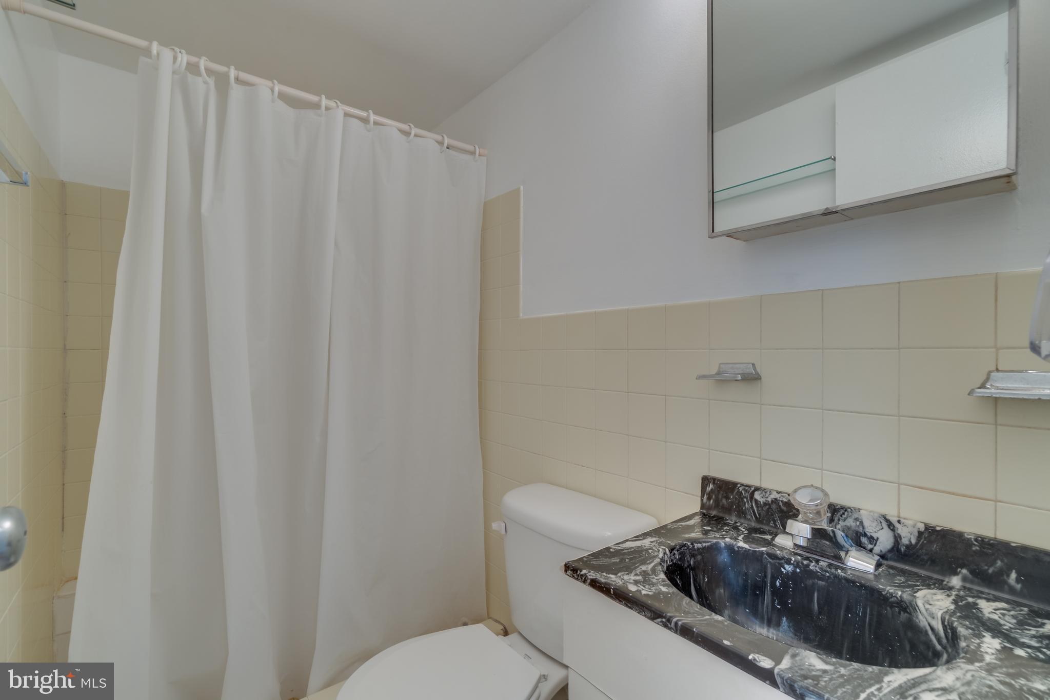 257 G Street Southwest, Unit 110 Washington, DC 20024 - Photo 18 of 33 Lower level bathroom