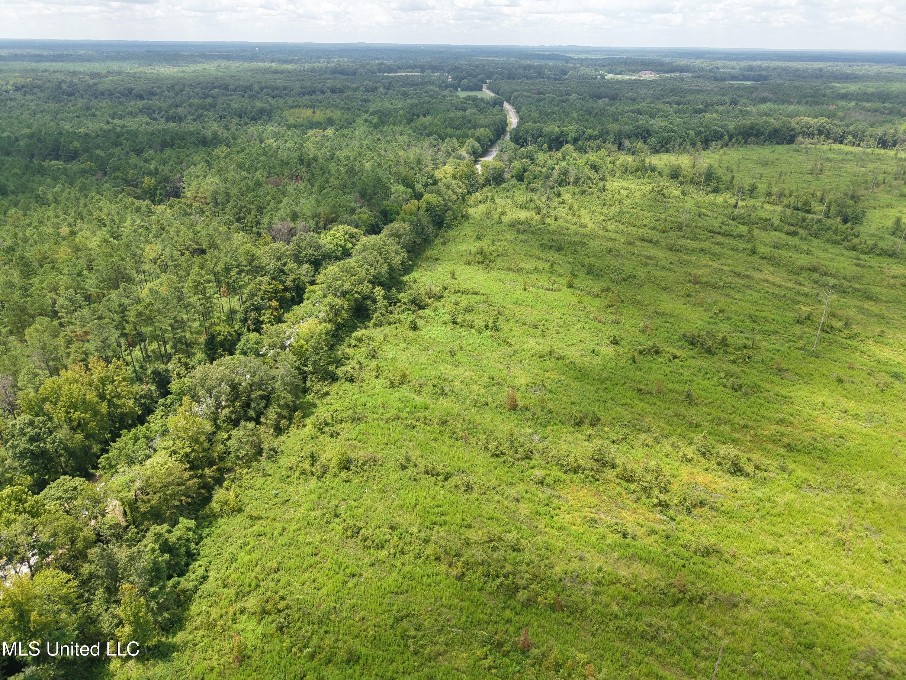 1 Reed Road Starkville, MS 39759 - Photo 2 of 8 2
