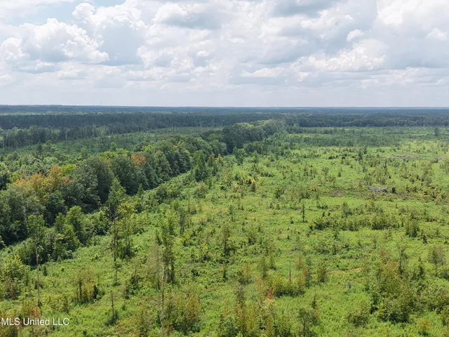 $280,000 | 1 Reed Road, Starkville, MS 39759