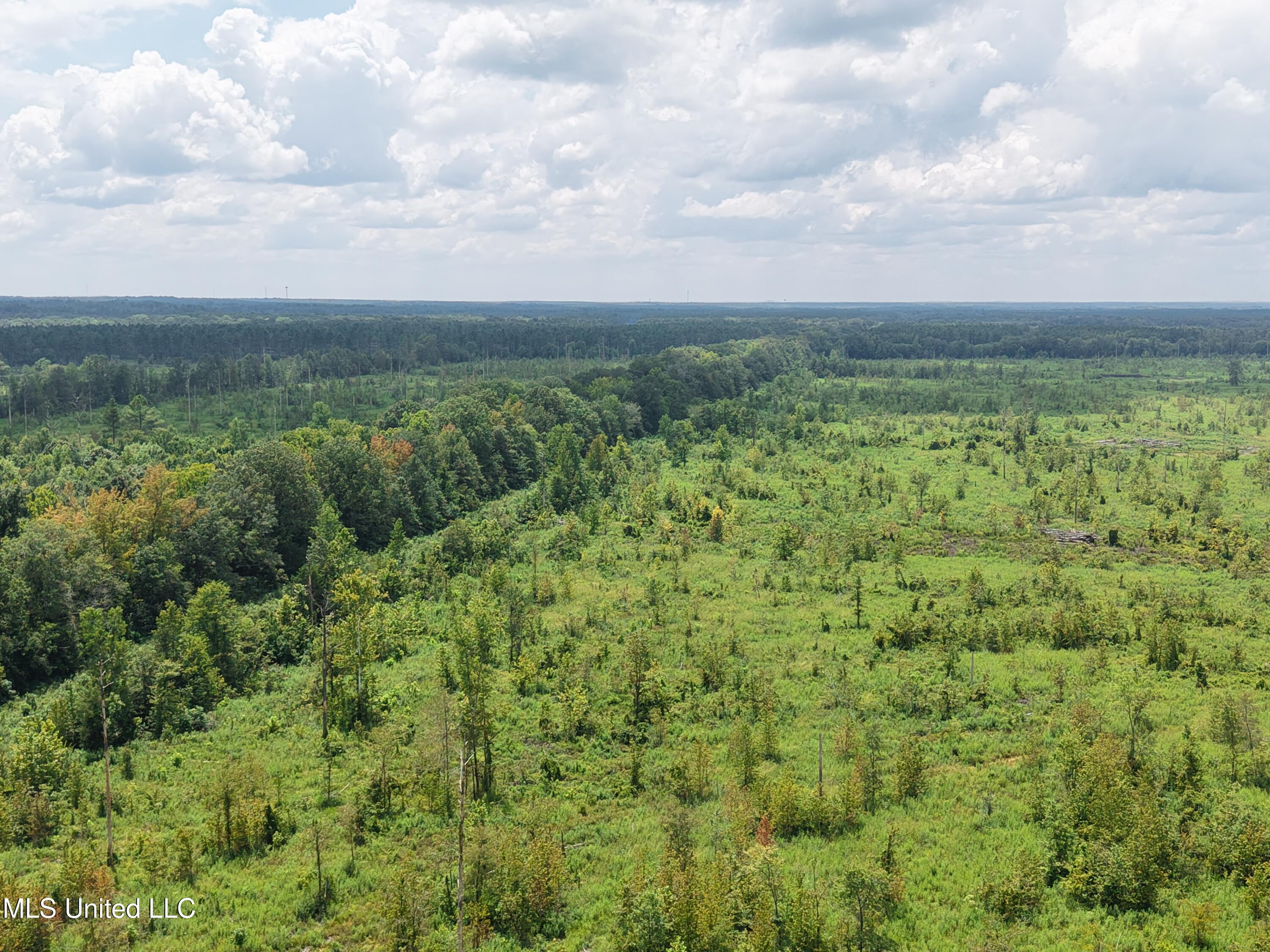 1 Reed Road Starkville, MS 39759 - Photo 3 of 8 6