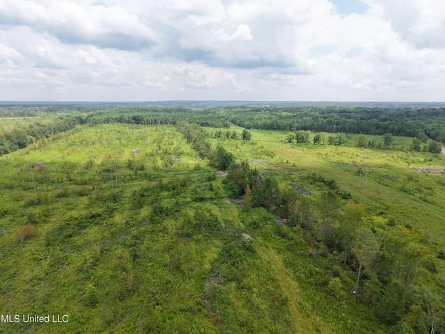 $280,000 | 1 Reed Road, Starkville, MS 39759