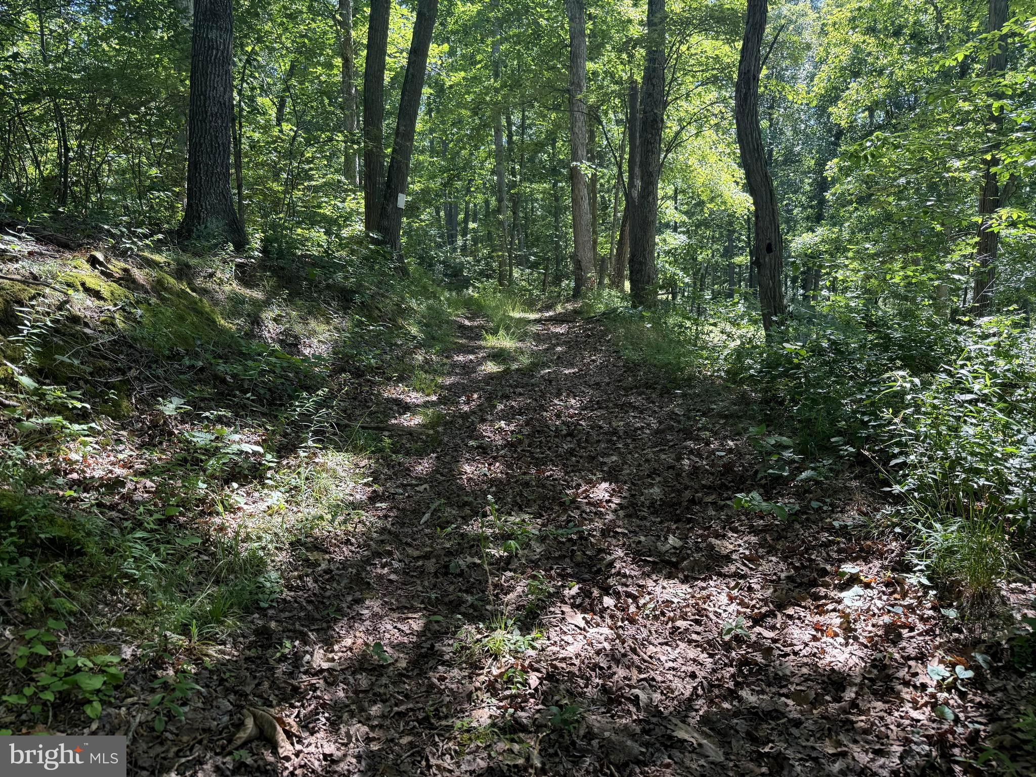 750 Hickory Corner Road Augusta, WV 26704 - Photo 39 of 49
