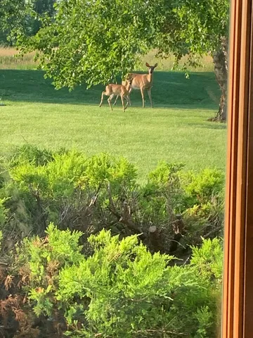 $1,250,000 | W3552 Equestrian Trail, Appleton, WI 54913