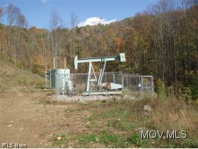 0 Brown Road Wallace, WV 26448 - Photo 5 of 6